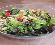 Bunter Blattsalat