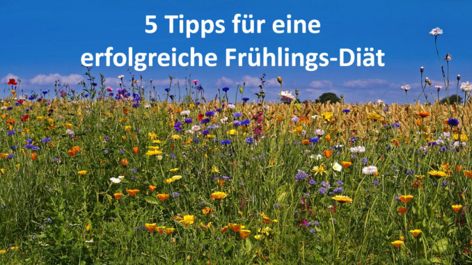 5 Tipps für eine Frühlingsdiät auf Kochen-verstehen.de