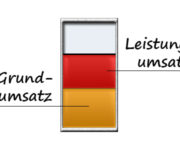 Grundumsatz und Leistungsumsatz