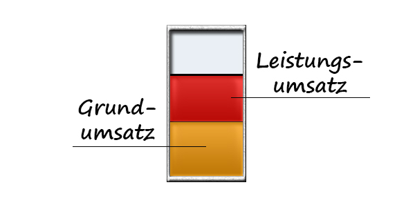 Grundumsatz und Leistungsumsatz