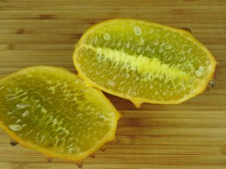 Kiwano Definition & Erklärung | Kochlexikon