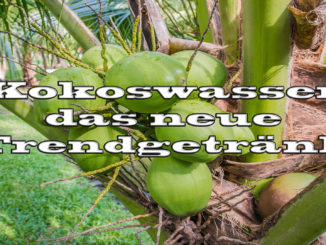 Kokosnusswasser - das neue Trendgetränk auf Kochen-verstehen.de