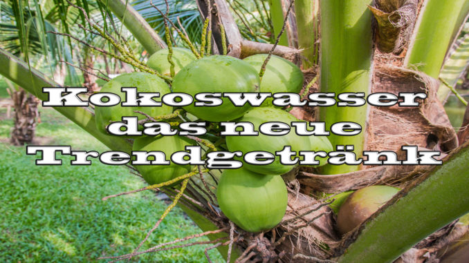 Kokosnusswasser - das neue Trendgetränk auf Kochen-verstehen.de