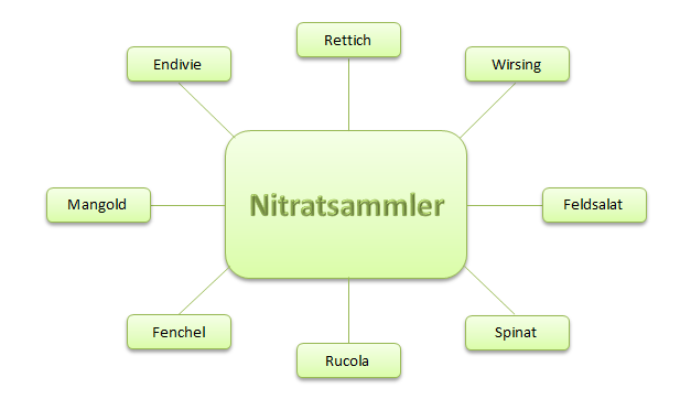 Nitratsammler