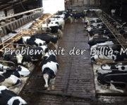 Das Problem mit der Billigmilch