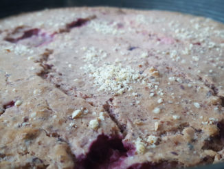 Protein-Früchtekuchen auf Kochen-verstehen.de