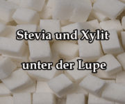 Stevia Xylit unter Lupe