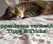 Suppenkoma vermeiden? - Tipps & Tricks