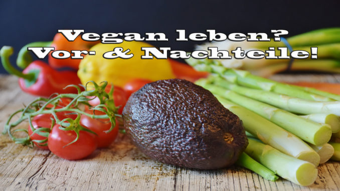Vorteile & Nachteile einer veganen Lebensweise auf Kochen-verstehen.de
