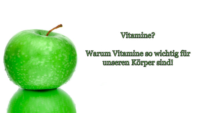 Vitamine für den Tag auf Kochen-verstehen.de