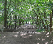 Mittagessen - warum ein Mittagsspaziergang gut tut!