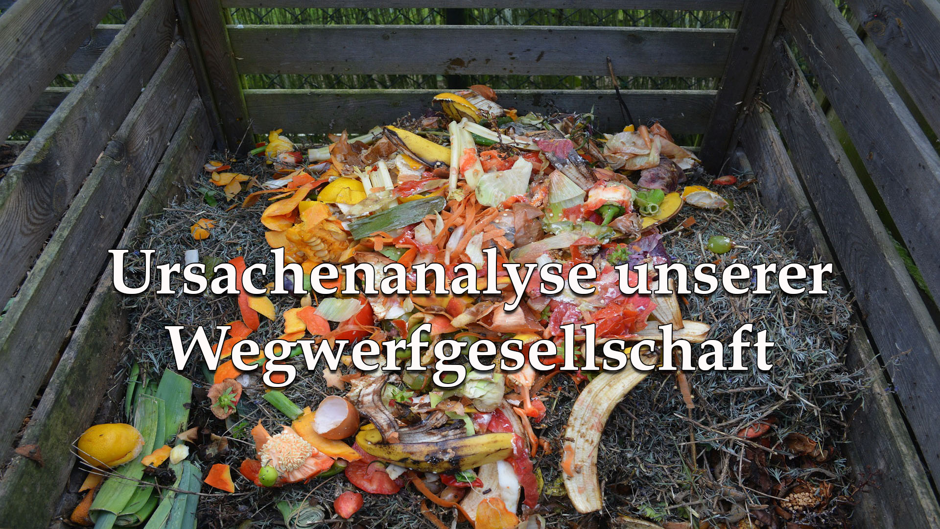 Ursachenanalyse unserer Wegwerfgesellschaft Kochenverstehen.de
