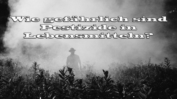 Wie gefährlich sind Pestizide in Lebensmitteln? Wie gefährlich sind Pestizide in Lebensmitteln auf Kochen-verstehen.de